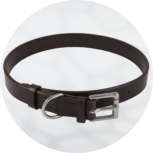 Stainless steel dog collar sale hardware